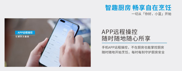 APP遠程操控